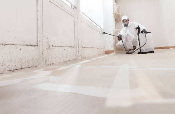 Trusted Attic Mold Removal service in Beaverton, MI - WQB Mold Removal