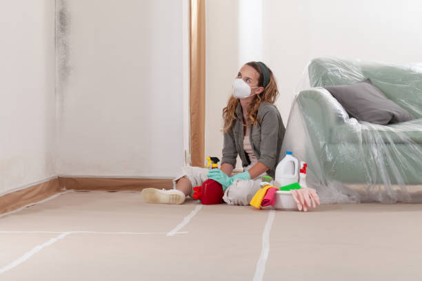 Reliable Attic Mold Removal contractor in Beaverton, MI by WQB Mold Removal